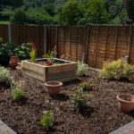 Low Maintenance Garden Design and Landscaping